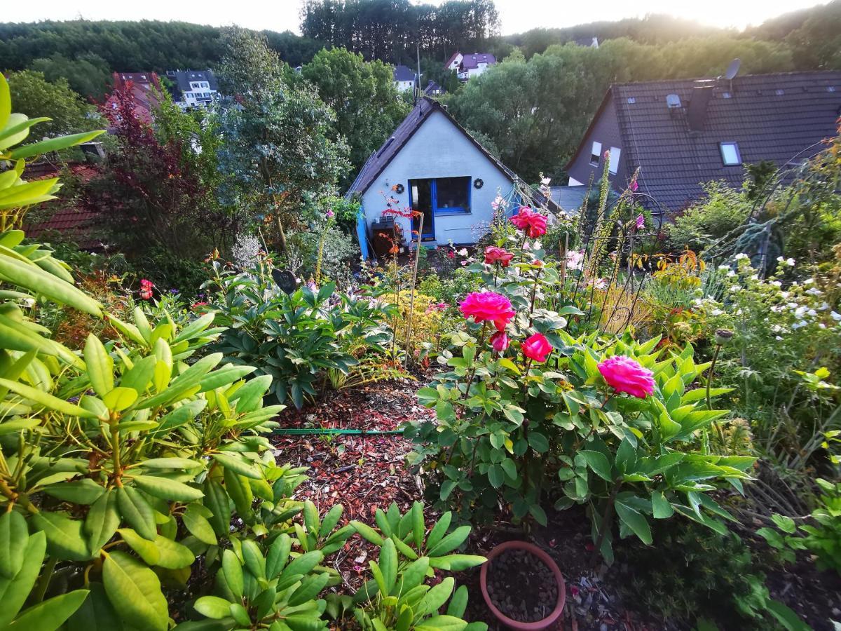 Ferienhaus Mit Riesen Garten, Drei Terrassen, Toller Aussicht Am Waldrand, Auch Als Monteur-Wohnung Hemer المظهر الخارجي الصورة