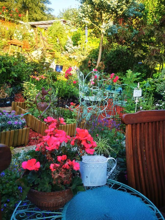 Ferienhaus Mit Riesen Garten, Drei Terrassen, Toller Aussicht Am Waldrand, Auch Als Monteur-Wohnung Hemer المظهر الخارجي الصورة