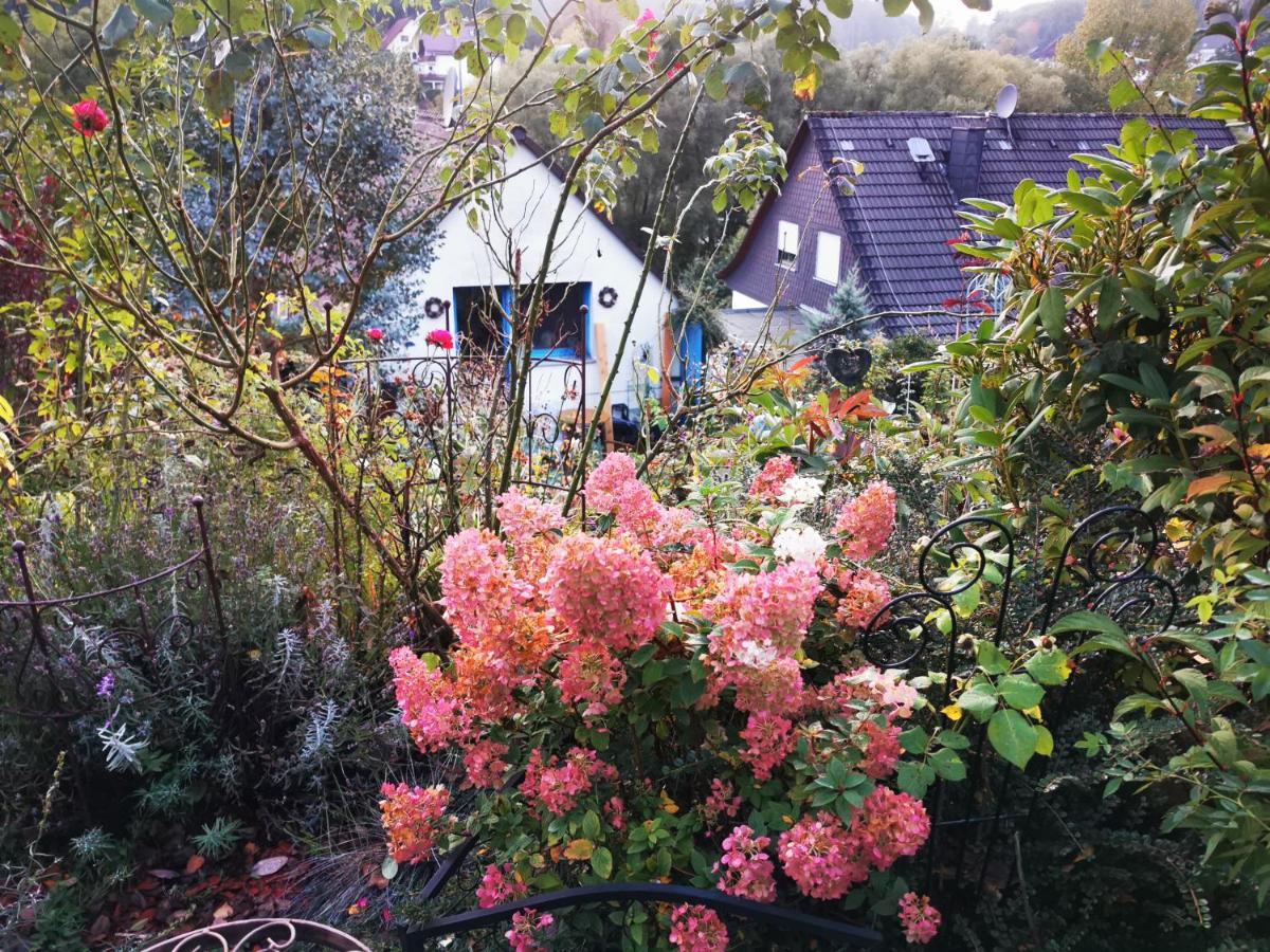 Ferienhaus Mit Riesen Garten, Drei Terrassen, Toller Aussicht Am Waldrand, Auch Als Monteur-Wohnung Hemer المظهر الخارجي الصورة